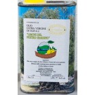 Condimento all'olio extra vergine di oliva con  Limoni del nostro Giardino lattina 250ml